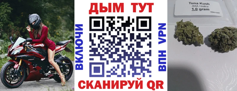 Купить наркотики сайты Сковородино Кокаин  Экстази  ГАШ  Галлюциногенные грибы 