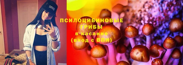 экстази Белокуриха