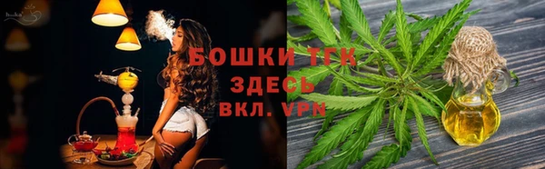 экстази Белокуриха
