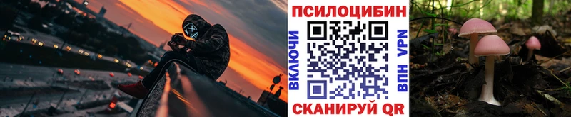 Галлюциногенные грибы GOLDEN TEACHER  купить  цена  Сковородино 